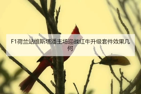 he-lan-zhan-wei-si-ta-pan-zhu-chang-ying-zhan-hong-niu-sheng-ji-tao-jian-xiao-guo-ji-he-2-383.jpg